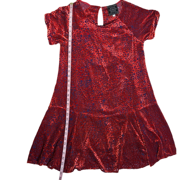 Johnny Was Jade Red Burnout Velvet Mini Dress Size XS Animal Print Silk Blend - Picture 15 of 16